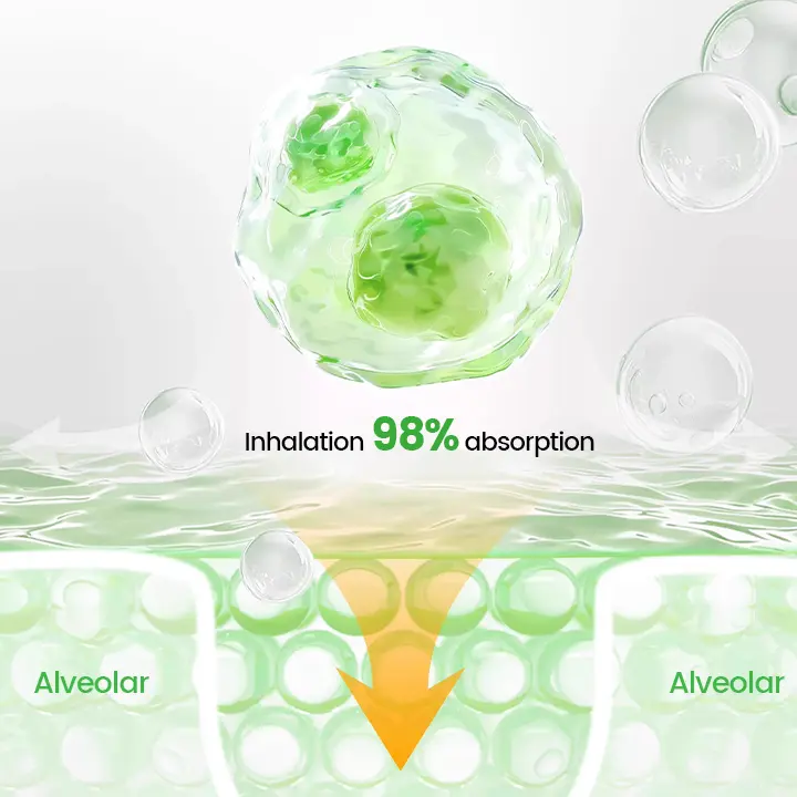 Cavebit® Pulmovia Quercetin Lung Detox Inhaler