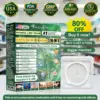 𝐆𝐞𝐞𝐋𝐞𝐦𝐨𝐧® Moringa · Berberine × NAD+ 𝟏𝟎-𝐢𝐧-𝟏 𝐀𝐝𝐯𝐚𝐧𝐜𝐞𝐝 𝐍𝐚𝐧𝐨 𝐌𝐢𝐜𝐫𝐨𝐧𝐞𝐞𝐝𝐥𝐞 𝐏𝐚𝐭𝐜𝐡
